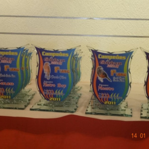 Entrega dos troféus temporada 2011 FEEPAERJ