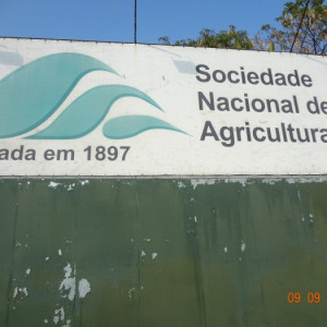 2ª etapa torneio estadual de canto