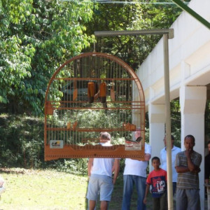 Grupo CPC-RJ