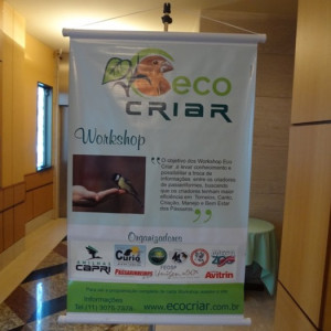 EcoCriar-RJ